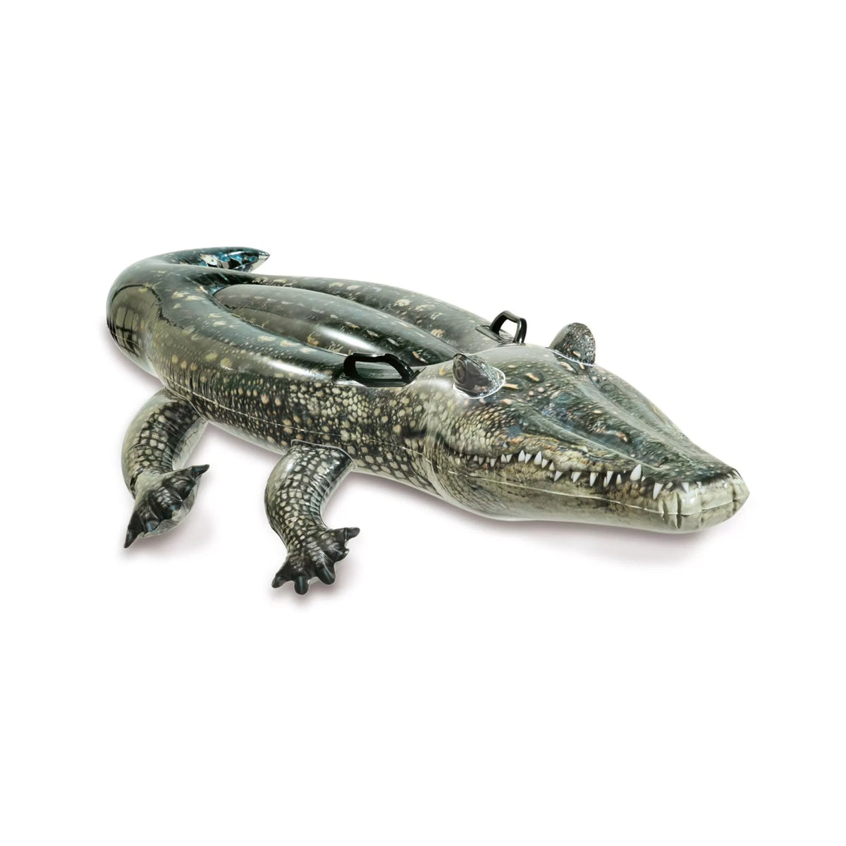 Cavalcabile Alligatore