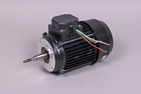 MOTOR 3 HP III