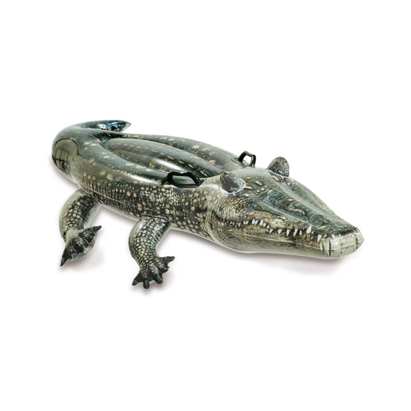 Cavalcabile Alligatore