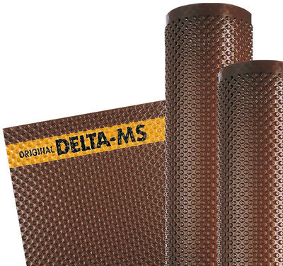 Delta Ms