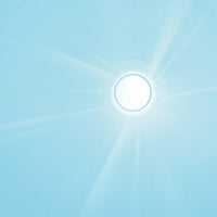 Ninfea_10.webp