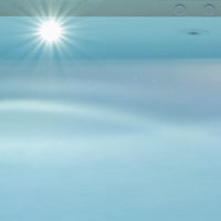 Ninfea_11.webp