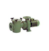Astralpool SKU 649020 - 11,04 kW (15 CV) Attacchi Aspirazione DN 125-5” per tubo Ø 140 mm