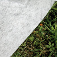 Sumatra Rotonda
